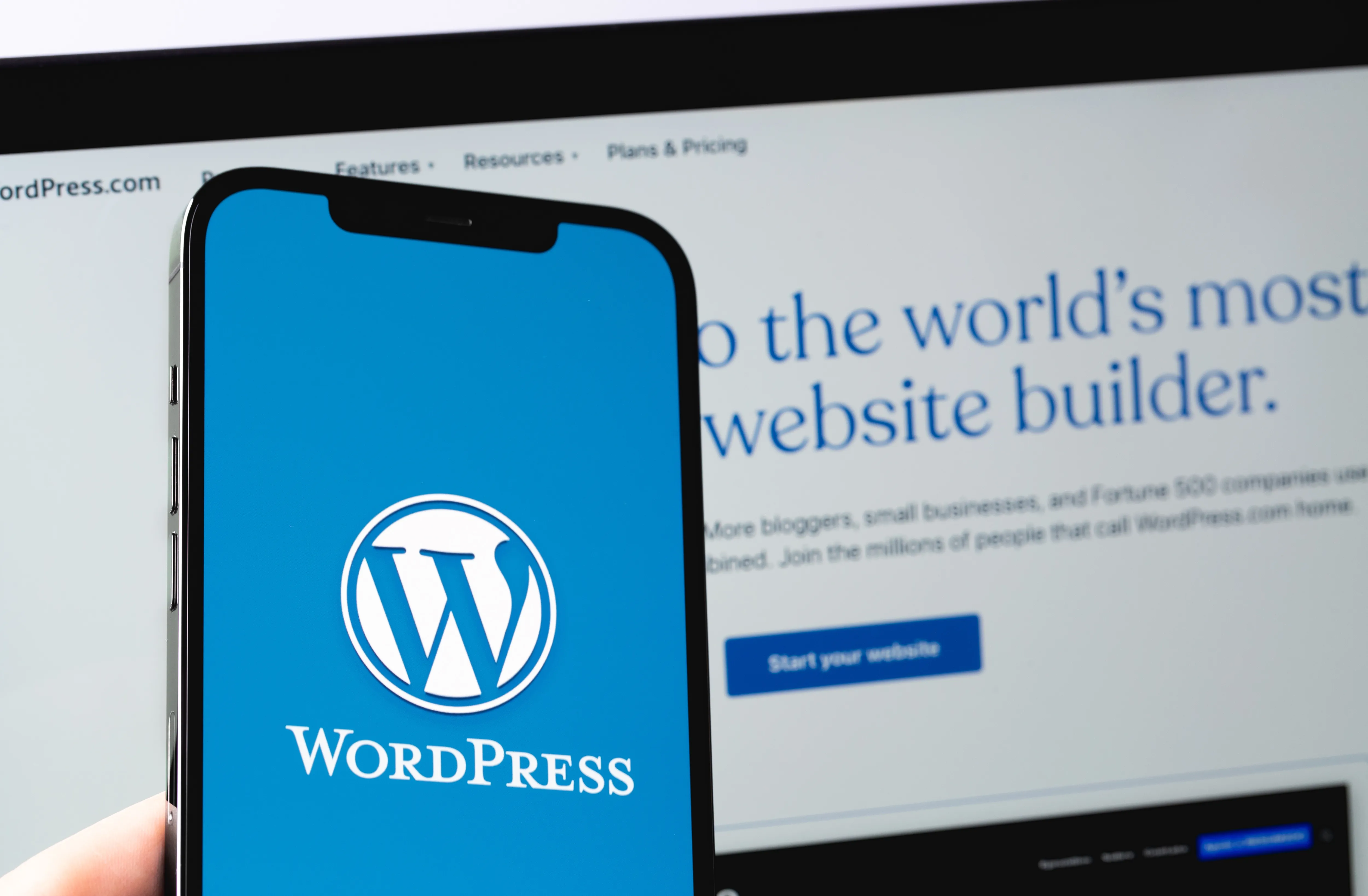 WordPress構築